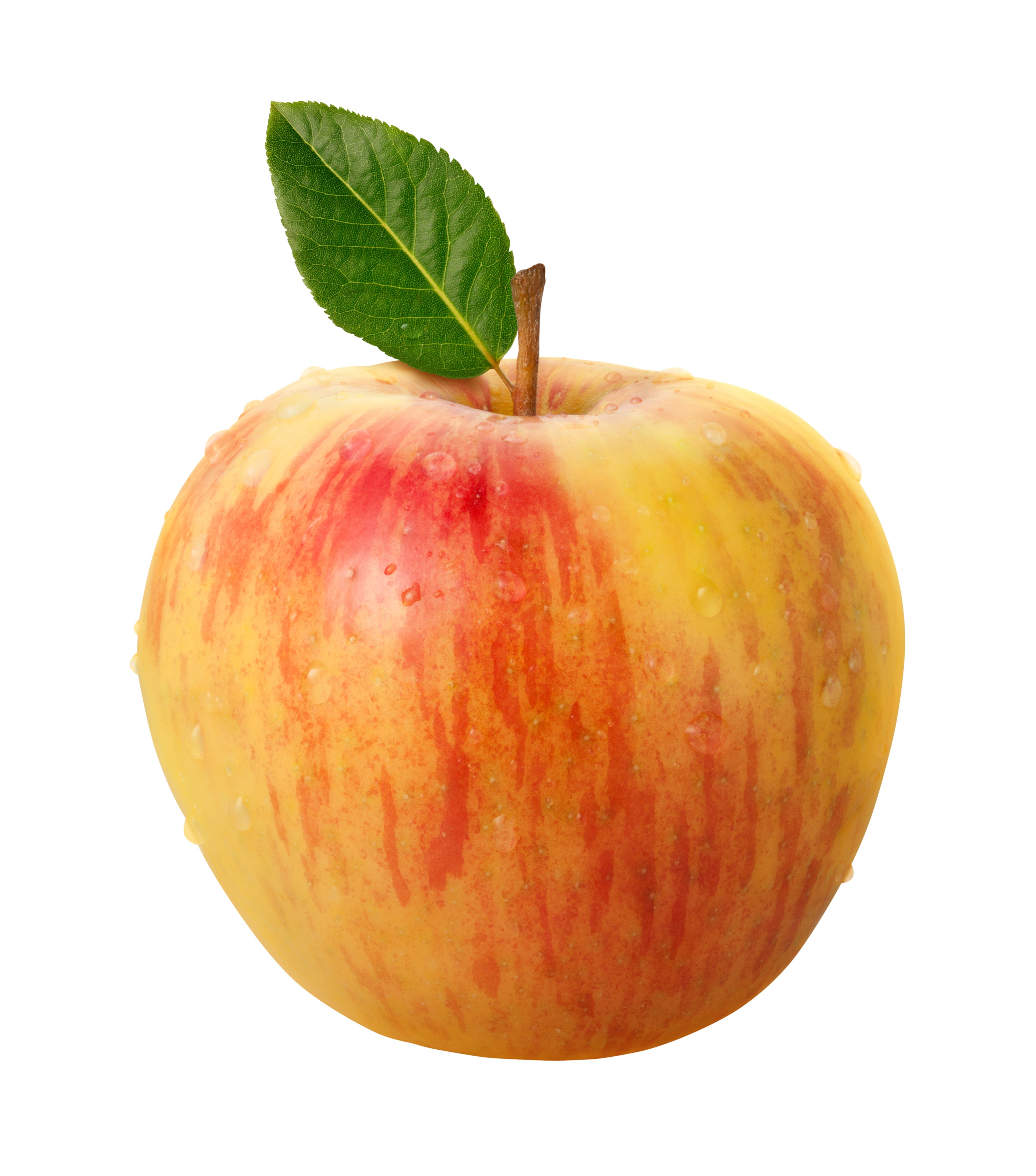 Datei:Honeycrisp-Apple.jpg – Wikipedia